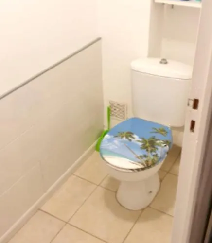 Maison Confortable A 33 M² Avec Terrasse 度假居 *