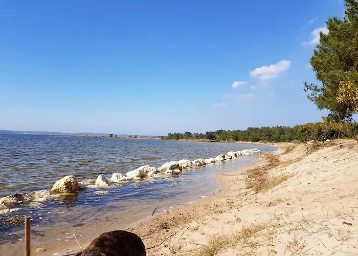 Maison Confortable A 33 M² Avec Terrasse 度假居